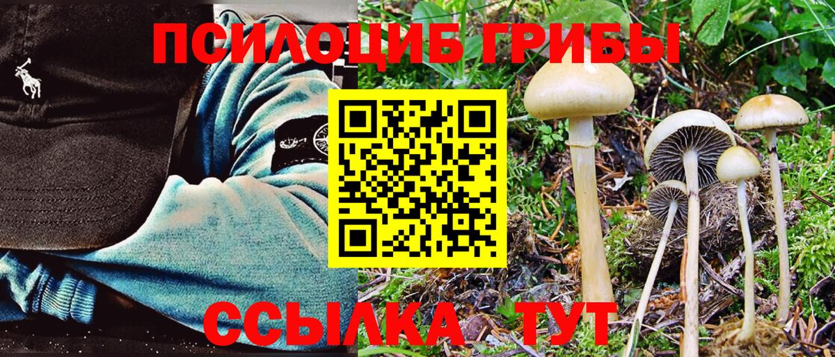 Кимры  Псилоцибиновые грибы Magic Shrooms  Вход с VPN 
